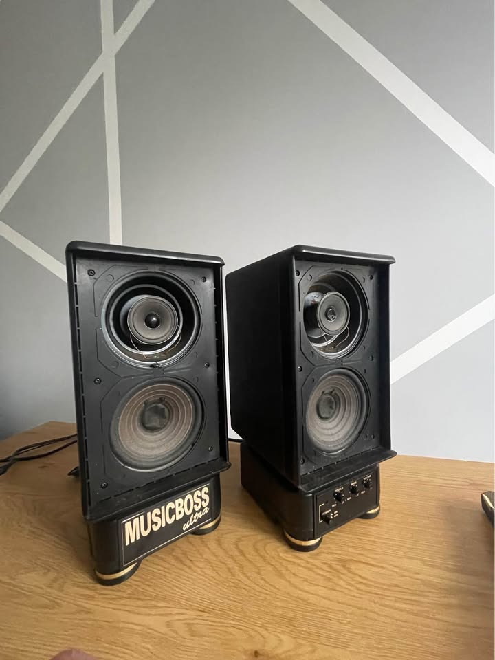 Vintage 1990s Active Stereo Speakers – Rare Collector’s Item, Gold‑Accented Finish