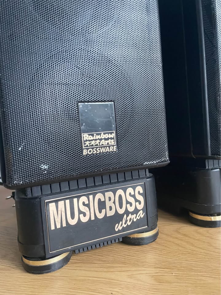 Vintage 1990s Active Stereo Speakers – Rare Collector’s Item, Gold‑Accented Finish