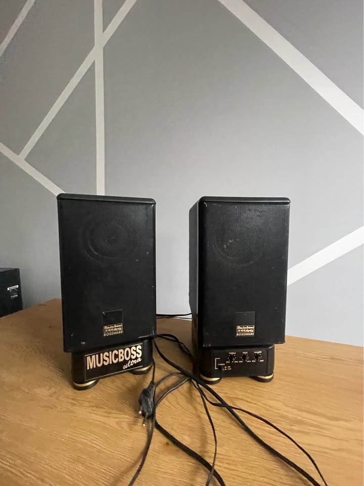 Vintage 1990s Active Stereo Speakers – Rare Collector’s Item, Gold‑Accented Finish